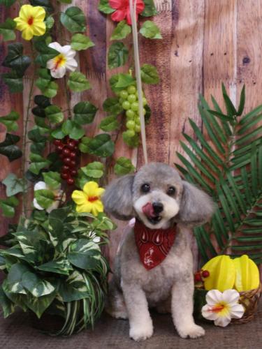 20230824チップちゃん